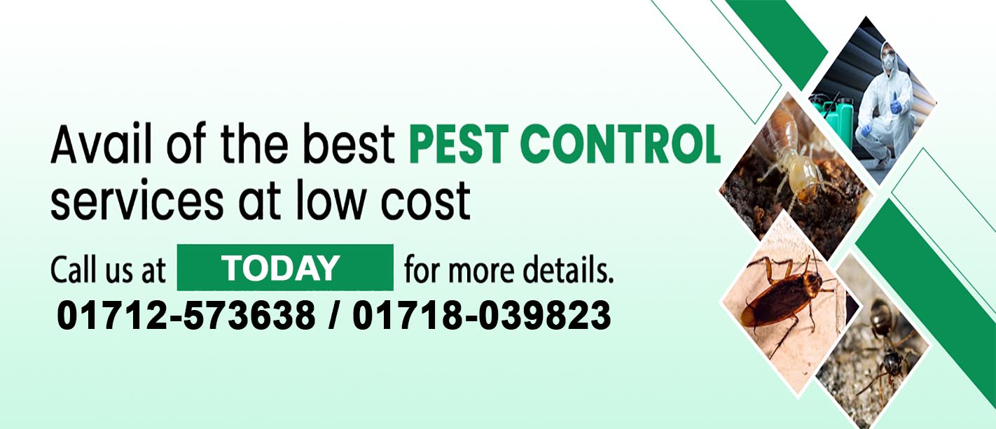 Rodent and Cockroach Elimination